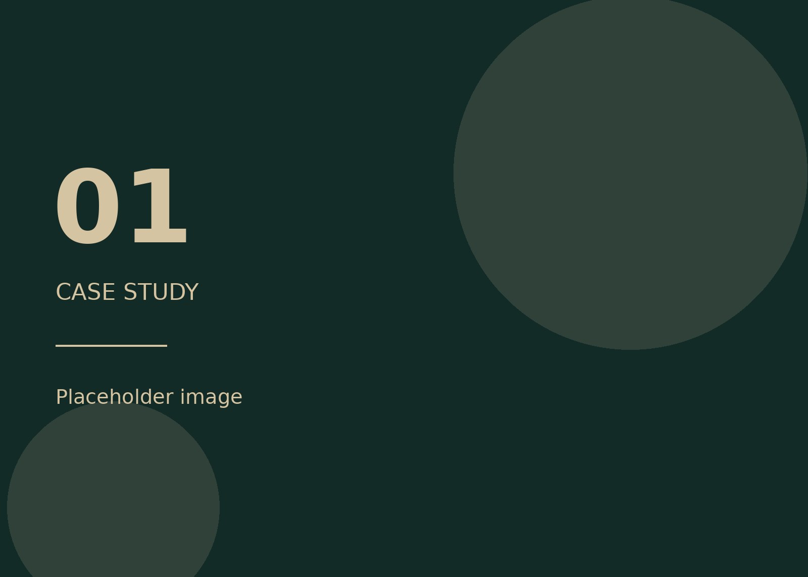 Placeholder image for case study 01