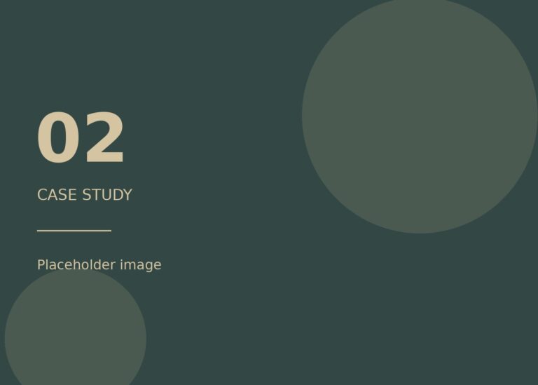 Placeholder image for case study 02