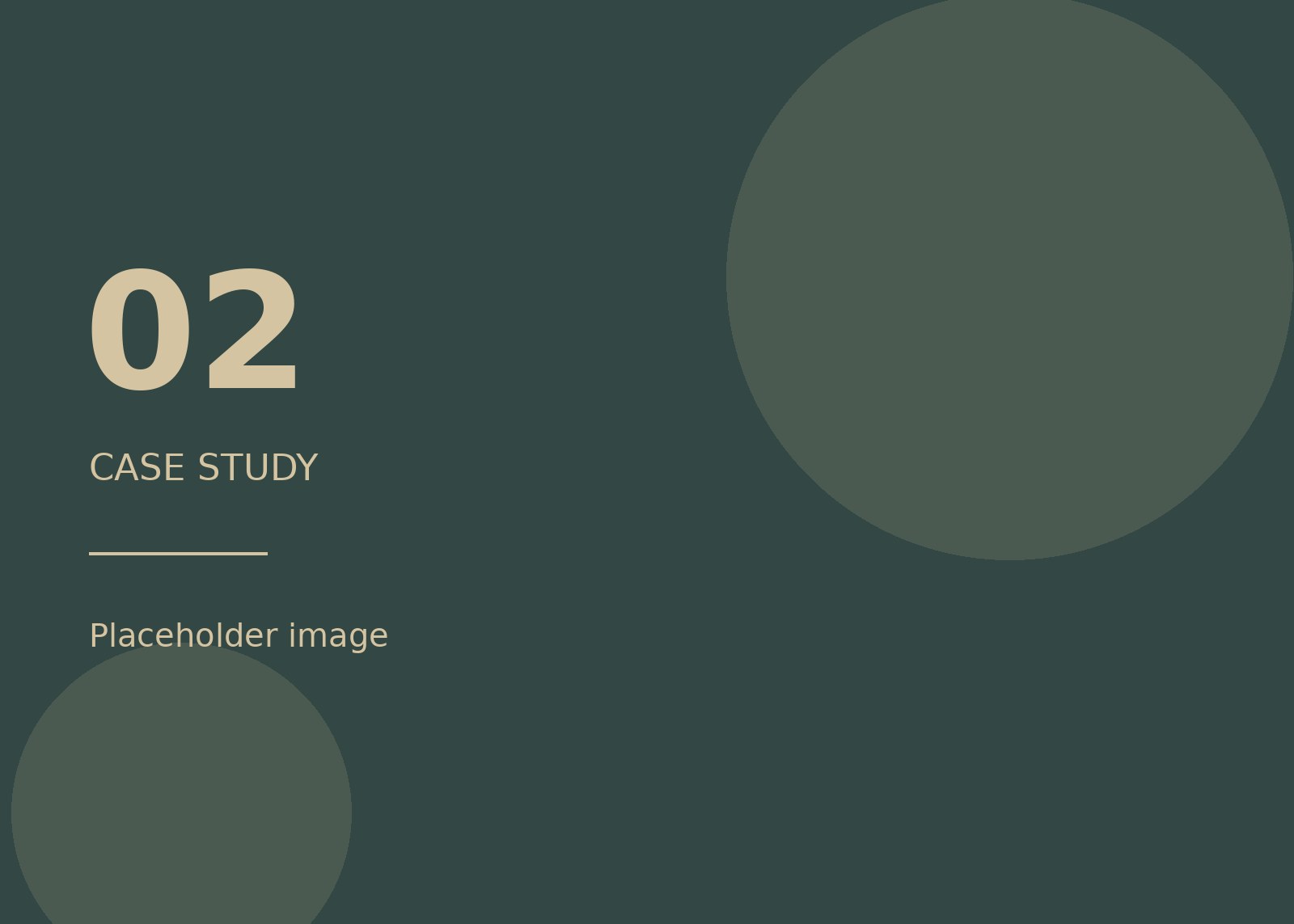 Placeholder image for case study 02