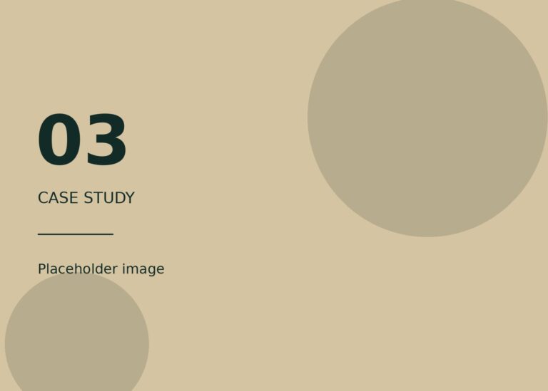 Placeholder image for case study 03