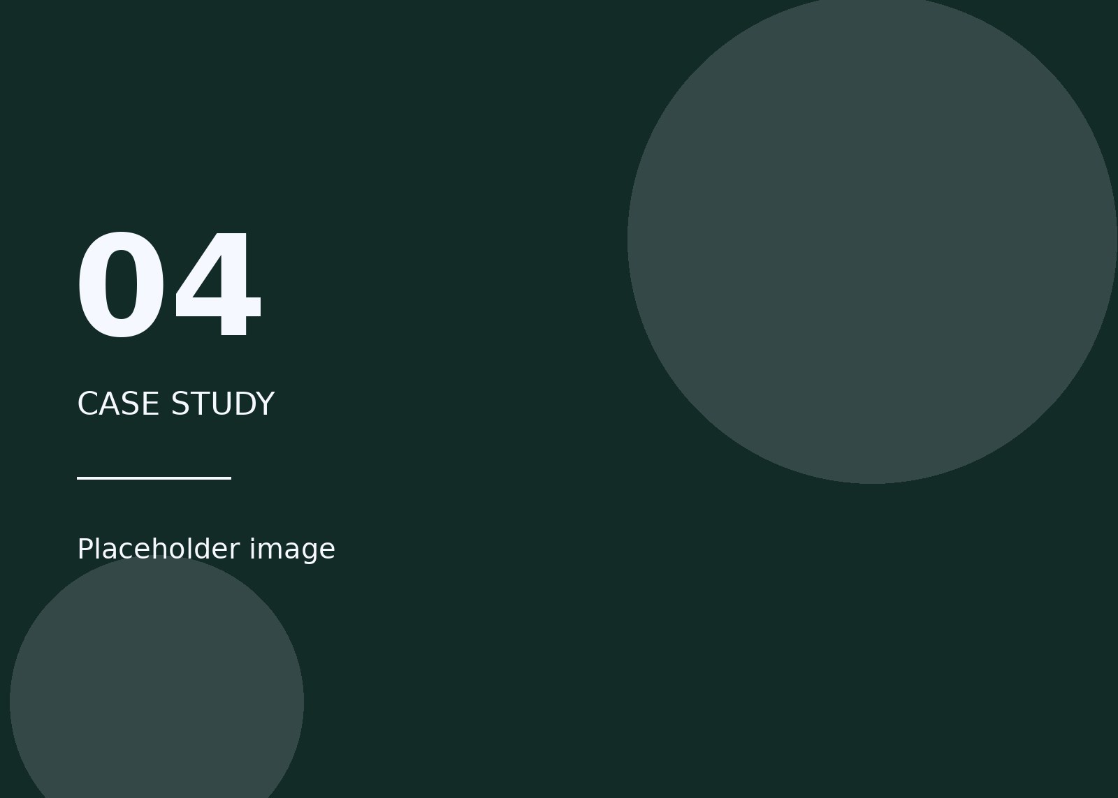 Placeholder image for case study 04